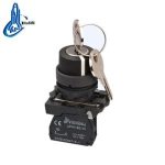 Import LAY4-EG21 2 position key or with key release keylock push button from chinese wholesale supplier and manufacturer