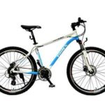 Import Bicycle MA3.8D from chinese wholesale supplier and manufacturer