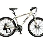 Import Bicycle MA3.6D from chinese wholesale supplier and manufacturer