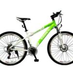 Import Bicycle MA1.8DG from chinese wholesale supplier and manufacturer