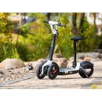 Import iLark E-scooter from chinese wholesale supplier and manufacturer