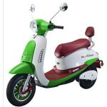 Import E-swan E-scooter from chinese wholesale supplier and manufacturer