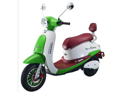 Import E-swan E-scooter from chinese wholesale supplier and manufacturer