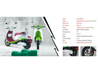 Import E-swan E-scooter from chinese wholesale supplier and manufacturer