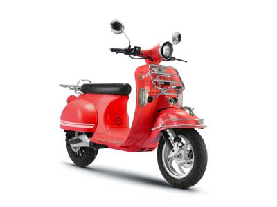 Import Romex E-scooter from chinese wholesale supplier and manufacturer