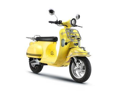 Import Romex E-scooter from chinese wholesale supplier and manufacturer