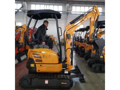 Import Canmax 3.5 Ton Mini Crawler Excavator Small Digger Ex9035 Price for Sale from chinese wholesale supplier and manufacturer