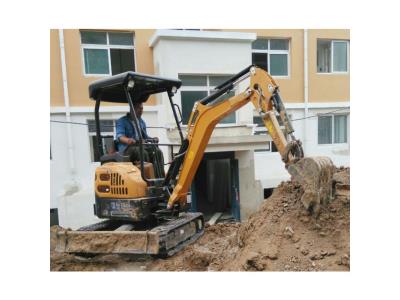 Import Canmax 2.5 Ton Mini Excavator Ex9025 small digger Price for Sale from chinese wholesale supplier and manufacturer