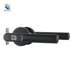 Import Smart Fingerprint Digital Smart Home Door Lock-Matte Black Electronic Digital Lock R6-19B from chinese wholesale supplier and manufacturer