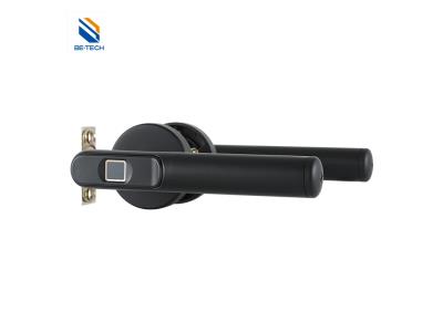 Import Smart Fingerprint Digital Smart Home Door Lock-Matte Black Electronic Digital Lock R6-19B from chinese wholesale supplier and manufacturer