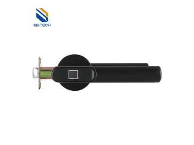 Import Smart Fingerprint Digital Smart Home Door Lock-Matte Black Electronic Digital Lock R6-19B from chinese wholesale supplier and manufacturer