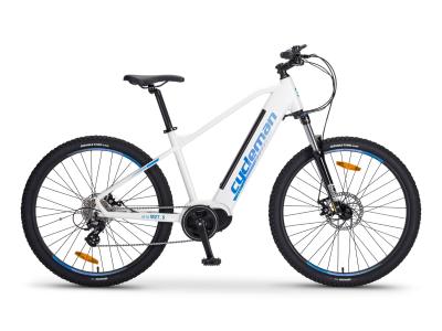 Import Mountain Electric bike from chinese wholesale supplier and manufacturer