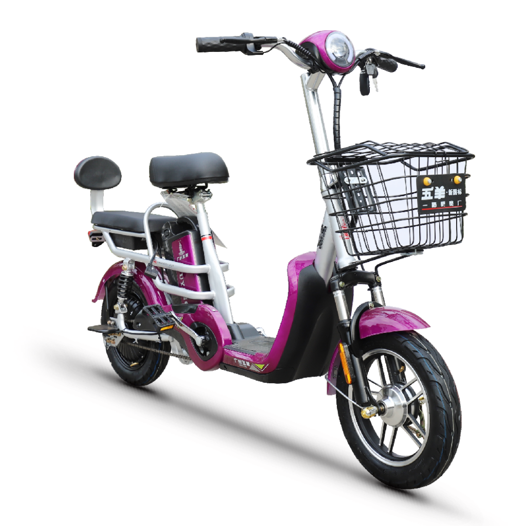 electric bike